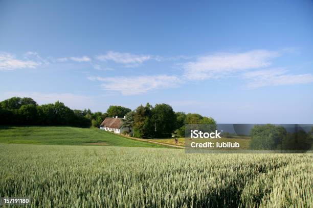 Foto de Belas Fazendas Antiga Casa E O Mar No Sul Da Jutland Dinamarca e mais fotos de stock de Dinamarca