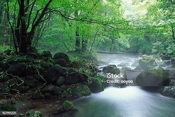 Mountain Stream Stockfoto und mehr Bilder von Bach - Bach, Baum, Berg