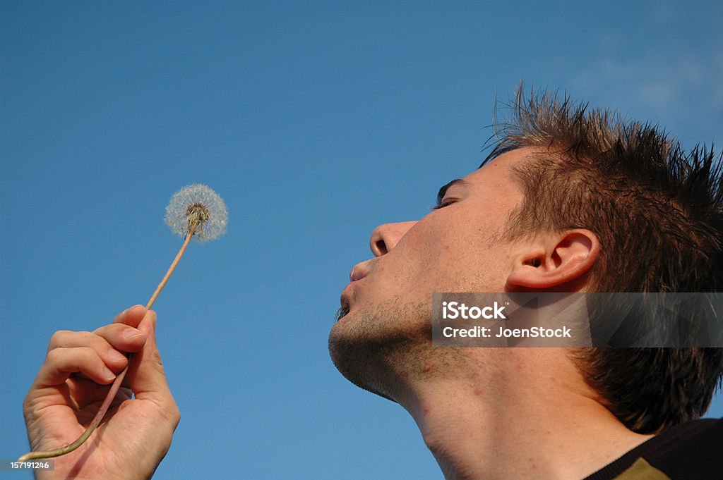 Homem voando de Dente de Leão - Foto de stock de Dente-de-Leão royalty-free