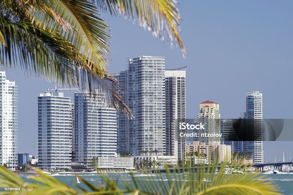 Skyline di Miami Beach - Foto stock royalty-free di Affari