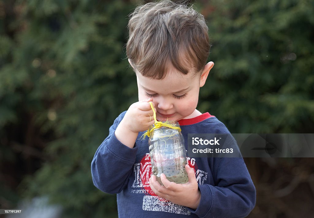 Jeune garçon avec un pot de grenouille frayer - Photo de 12-17 mois libre de droits