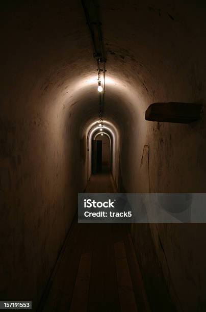 Vista General Por Un Túnel De Siniestros Y Oscuridad Foto de stock y más banco de imágenes de Bombilla