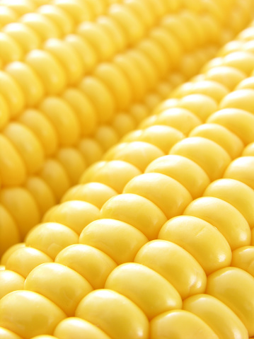 Closeup view of corn grain