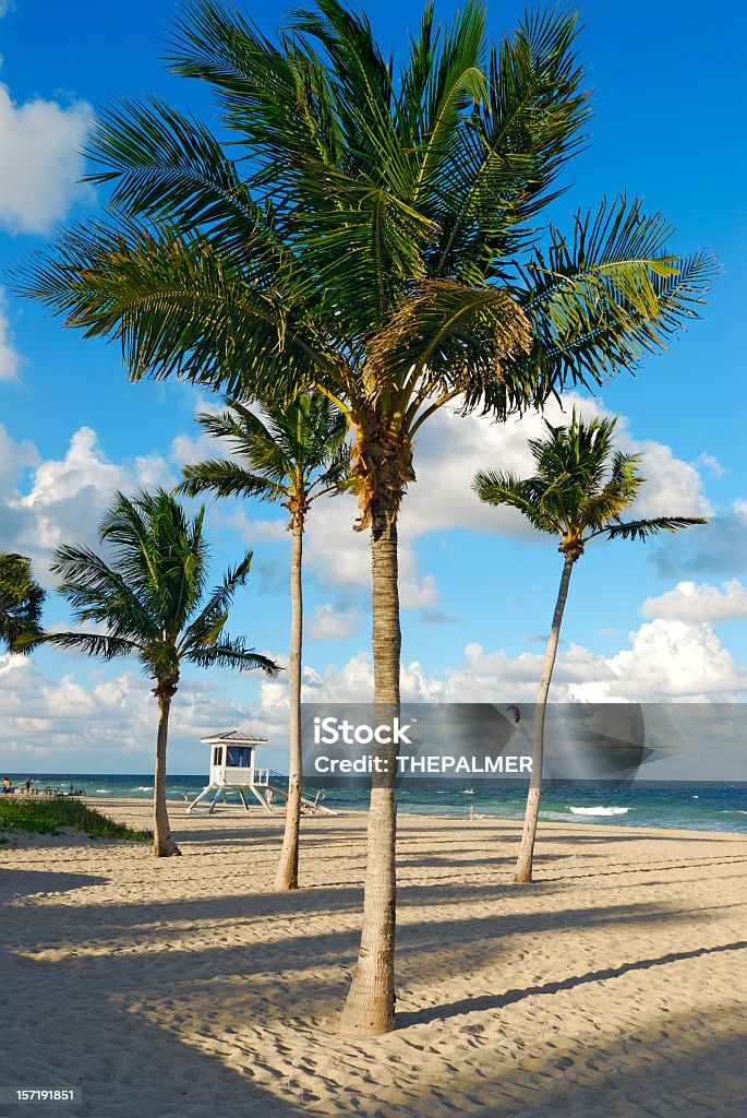 plaży Fort lauderdale - Zbiór zdjęć royalty-free (Plaża)