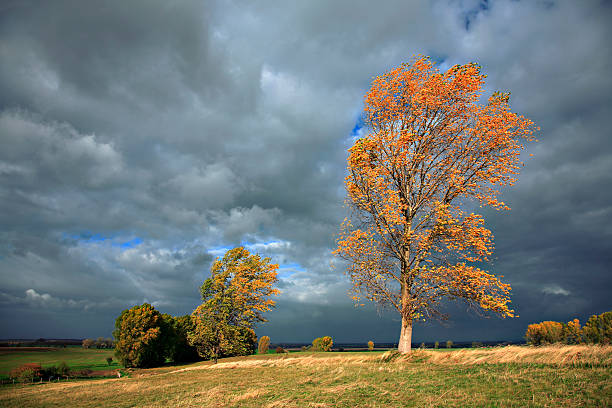 Autumn Storm stock photo