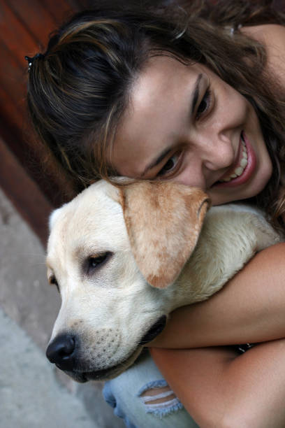 istock Young girl & Labrador retriver 157192227