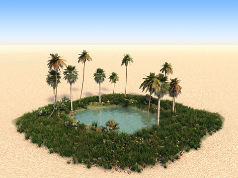 Oasis in the desert