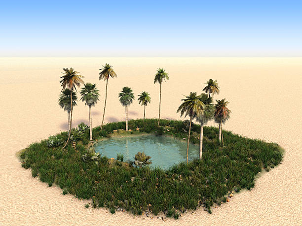 Oasis with palm trees in the middle of desert Oasis in the desert heat haze stock pictures, royalty-free photos & images