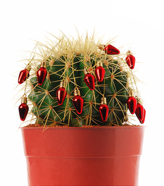 istock christmas a la mexicana 157192495