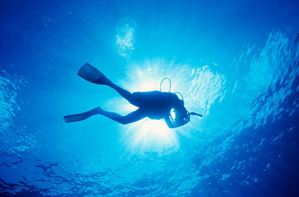 istock Scuba diver in the water with the sun above 157192538