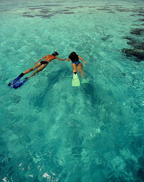 Man and woman holding hands snorkeling in the sea stock photo