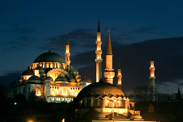 スレイマニエモスクイスタンブール - mosque ストックフォトと画像