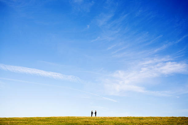 Summer Landscape