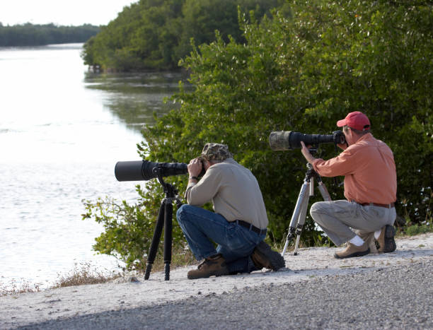 The bird photographers