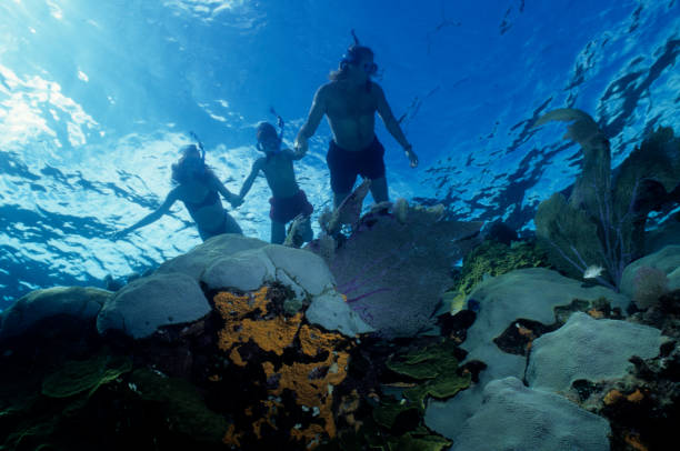 Family Snorkeling