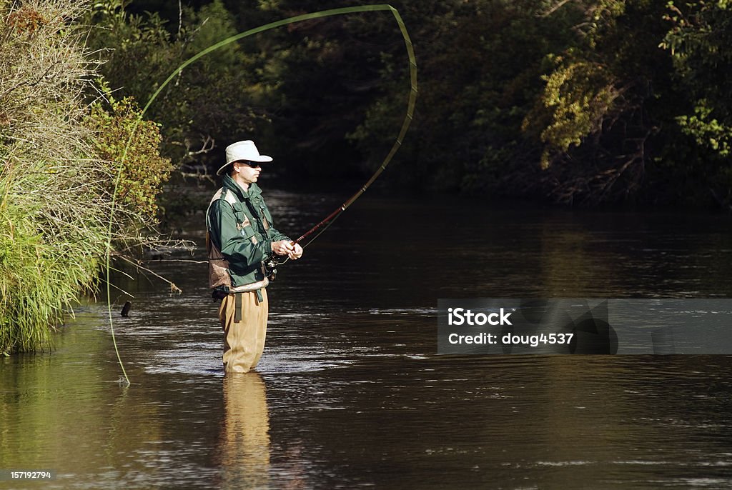 Fly Fisherman Casting - Foto de stock de Actividad al aire libre libre de derechos