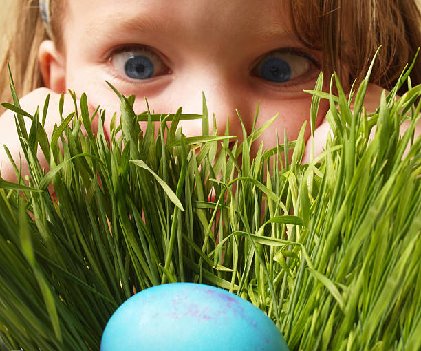 easter ostereiersuche - child discovery surprise playing stock-fotos und bilder