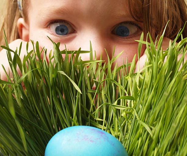 uovo di pasqua caccia - searching child curiosity discovery foto e immagini stock