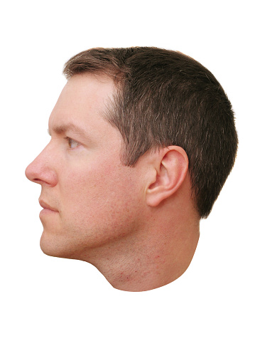 Left side of the head. Cut off at the neck. Profile view. 