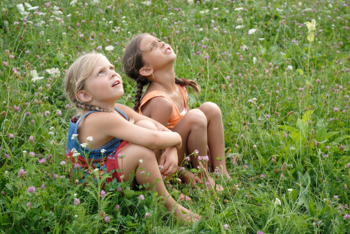 sisters in a blooming meadow looking up
