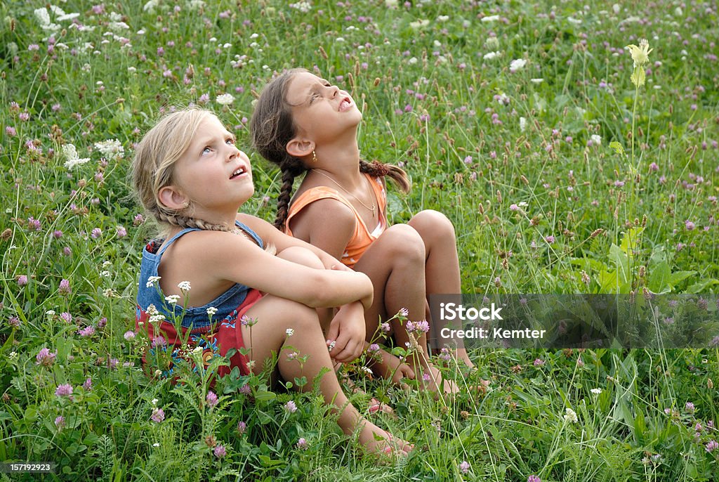 girls in a blooming meadow sisters in a blooming meadow looking up Beauty Stock Photo