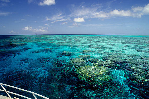 Reef Ride View from boat cruising past coral reef.  great barrier reef photos stock pictures, royalty-free photos & images