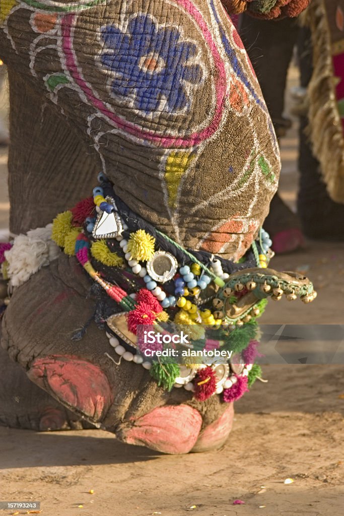 India: Jaipur Elephant Festival, Painted Foot with Jewelry India: Jaipur Elephant Festival, Painted Elephant Foot with Jewelry . Animal Stock Photo