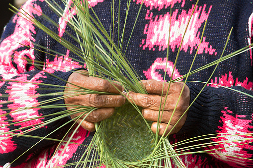 Copper Canyon of Mexico: Tarahumara Woman Making Pine-Needle Baskets