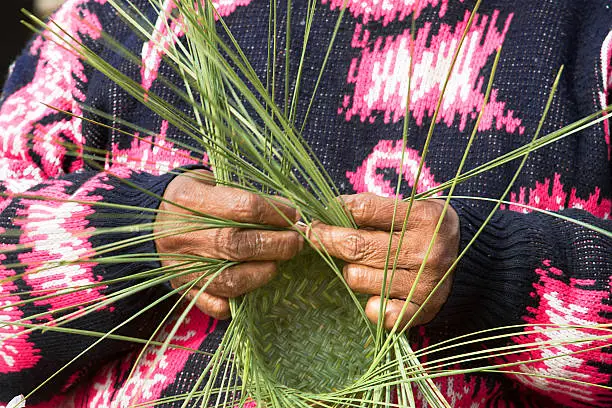 Photo of Tarahumara Woman Making Pine-Needle Baskets