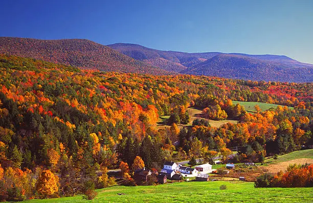 Autumn foliage in the Bershire Hills region of Massachusetts. Photo taken from a scenic viewpoint of the Mount Greylock Range during the peak fall foliage season. The Berkshires region enjoys a vibrant tourism industry based on music, arts, and recreation.