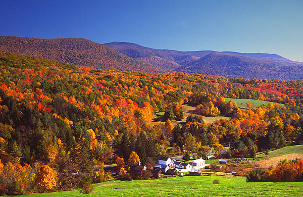 jesień kolory - massachusetts the berkshires autumn mountain zdjęcia i obrazy z banku zdjęć