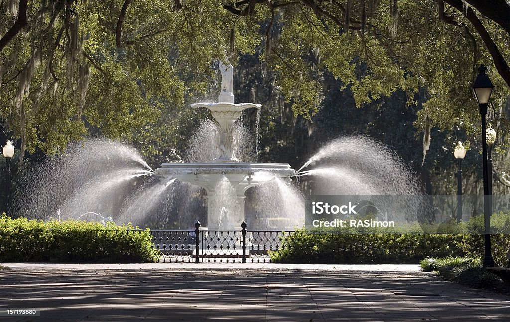 Fontaine dans le parc - Photo de Arbre libre de droits