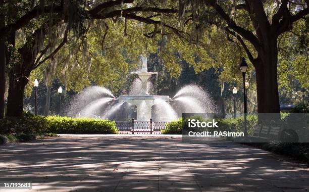 Fontana Nel Parco - Fotografie stock e altre immagini di Georgia - Stati Uniti Meridionali - Georgia - Stati Uniti Meridionali, Savannah, Albero