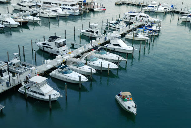 miami marina - marina nautical vessel sailboat harbor stock-fotos und bilder