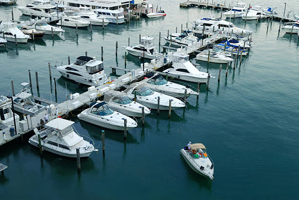 miami marina - pier jetty nautical vessel moored zdjęcia i obrazy z banku zdjęć