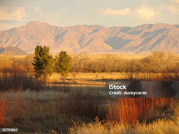 Waterfowl Complejo De Nuevo México Foto de stock y más banco de imágenes de Agricultura - Agricultura, Aire libre, Ajardinado