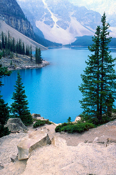 Moraine lake with trees and the mountain stock photo