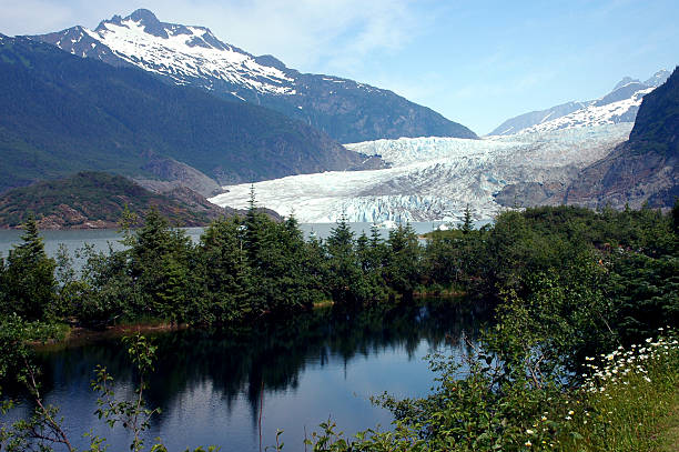 glaciar de mendenhall - glaciar de mendenhall fotografías e imágenes de stock