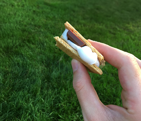 A person holding a s'more marshmallow chocolate graham cracker dessert treat.