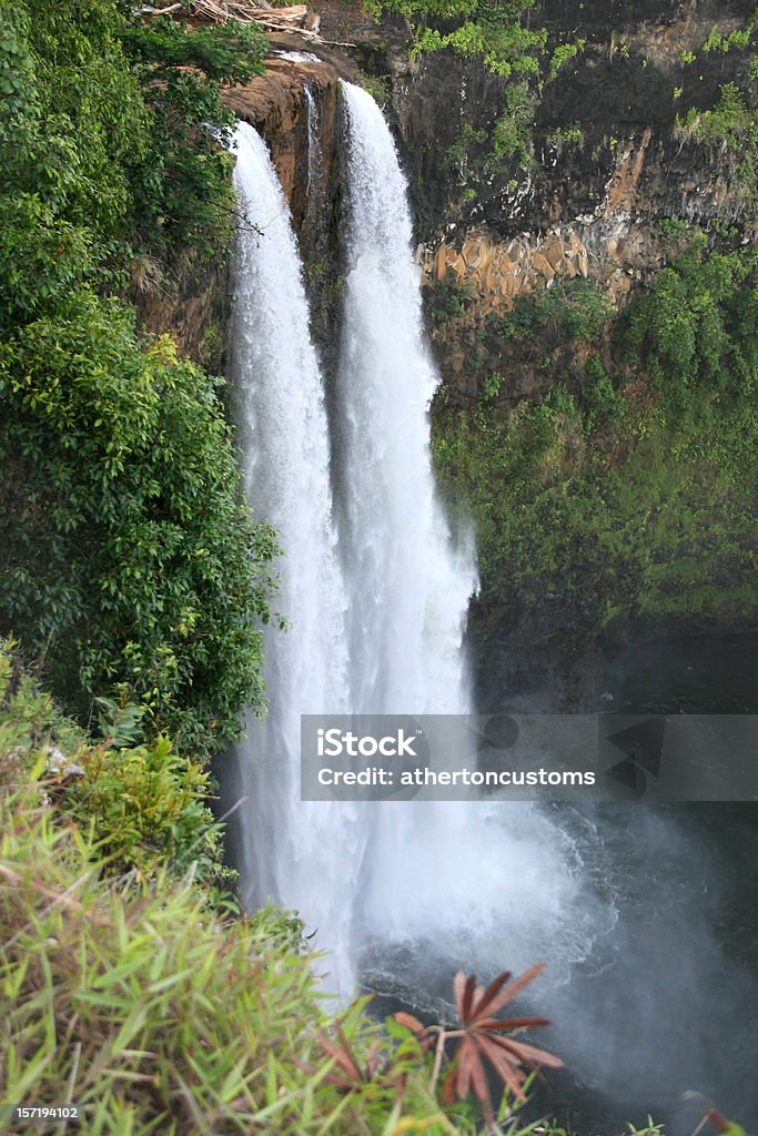 Catarata de Wailua - Foto de stock de Arbusto royalty-free