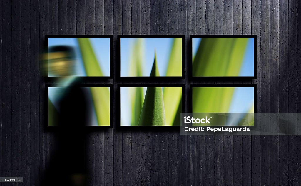 기술 및 네이쳐향 - 로열티 프리 LCD 스톡 사진