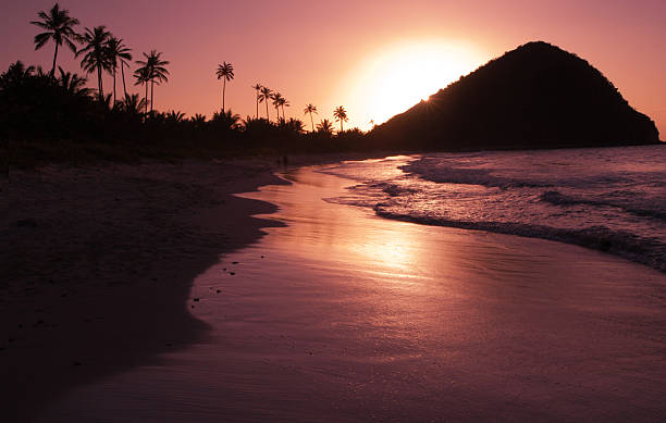 pôr do sol dourado do mar do caribe praia da ilha - long bay - fotografias e filmes do acervo