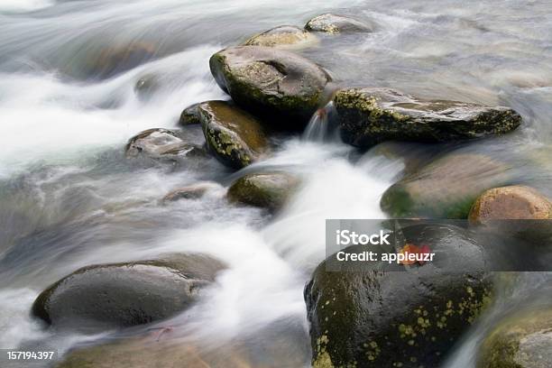 Queda De Fluxo - Fotografias de stock e mais imagens de Ao Ar Livre - Ao Ar Livre, Appalachia, Beleza natural