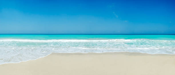 tropicale plage de sable blanc - beach blue turquoise sea photos et images de collection