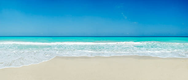 トロピカルな白砂のビーチ - beach blue turquoise sea ストックフォトと画像
