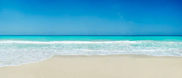 Photo of Tropical white sand beach