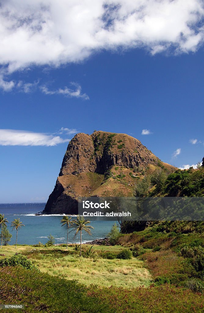 Costa de Maui - Foto de stock de Big Island - Ilhas do Havaí royalty-free