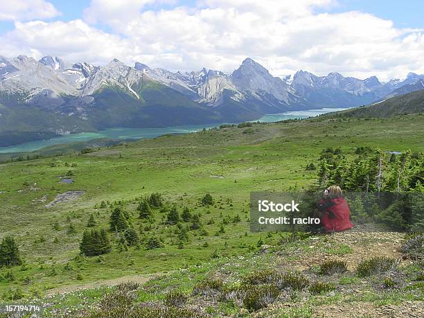 Photo libre de droit de Parc National De Jasper banque d'images et plus d'images libres de droit de Lac Maligne - Lac Maligne, Admirer le paysage, Adulte