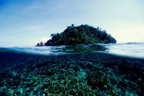 Over/Under shot of coral reef with green island behind.