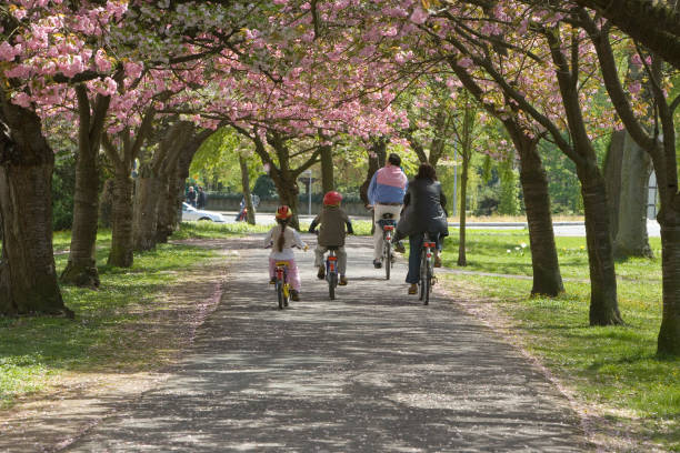 First person photos during a bike ride in the park of Amsterdam
